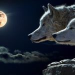 Full Wolf Moon Hike
