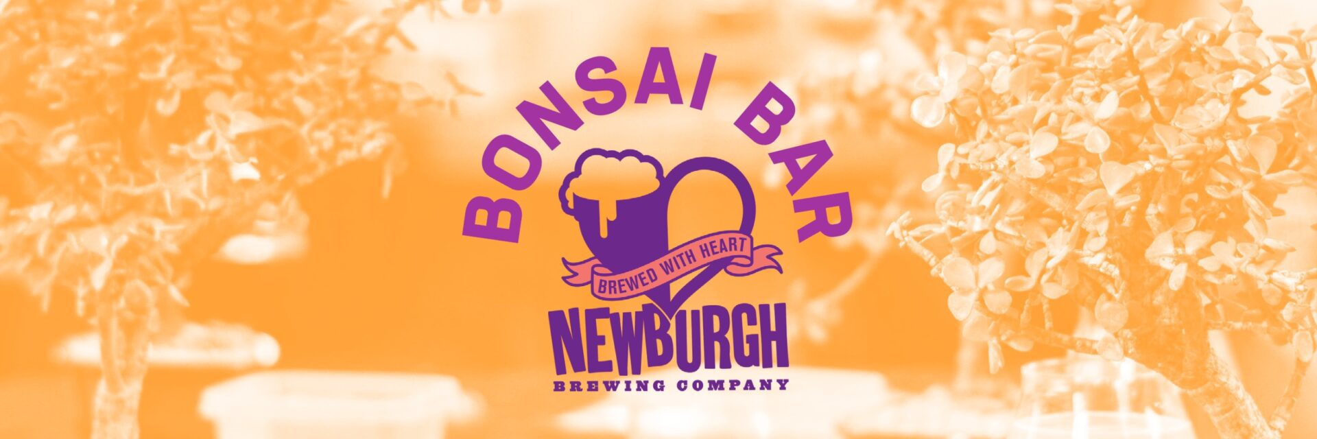 Bonsai Bar @ Newburgh Brewing