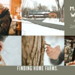 Maplefest Weekends @ Finding Home Farms