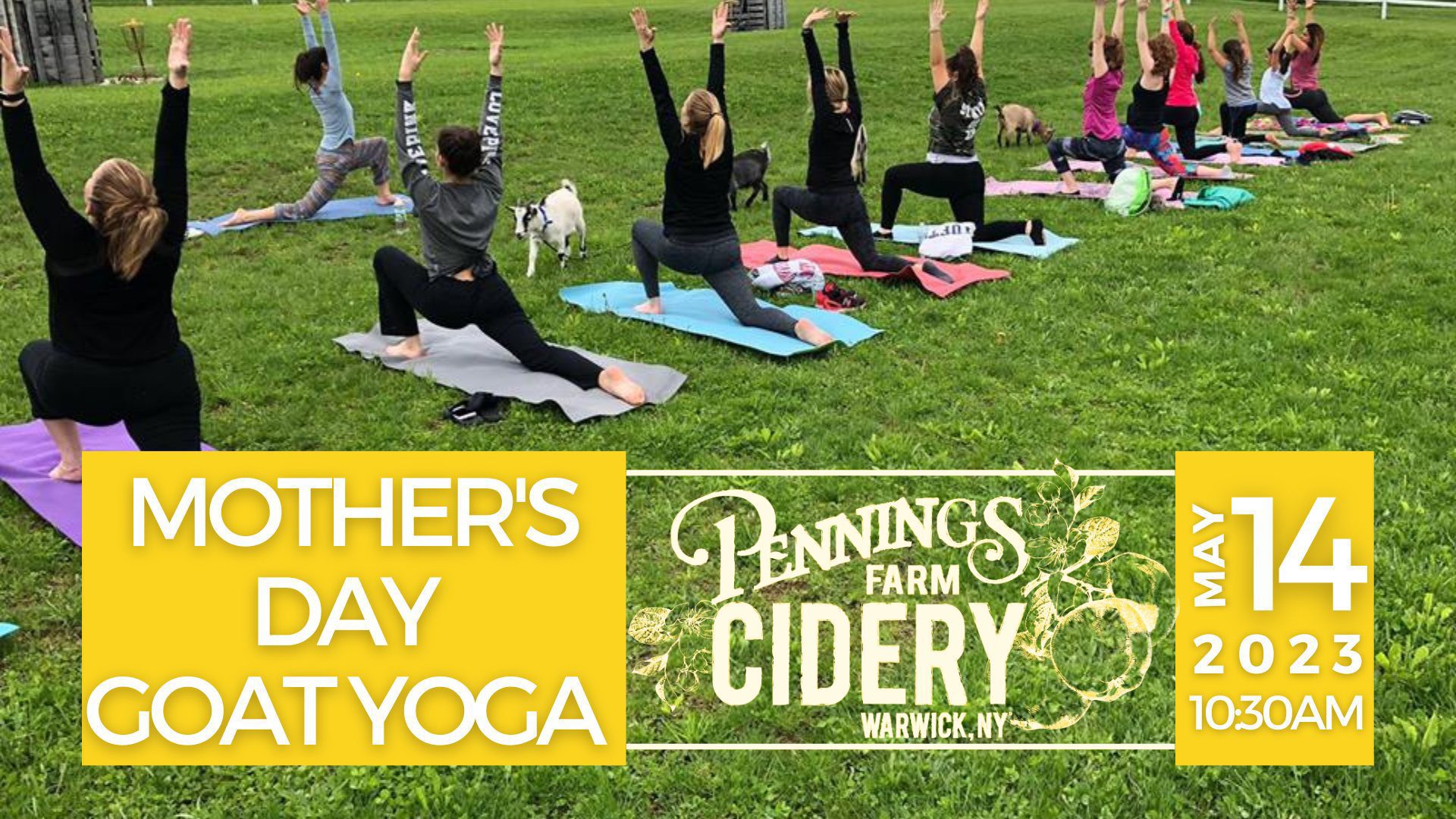 Mother's Day Goat Yoga @ Pennings Farm Cidery