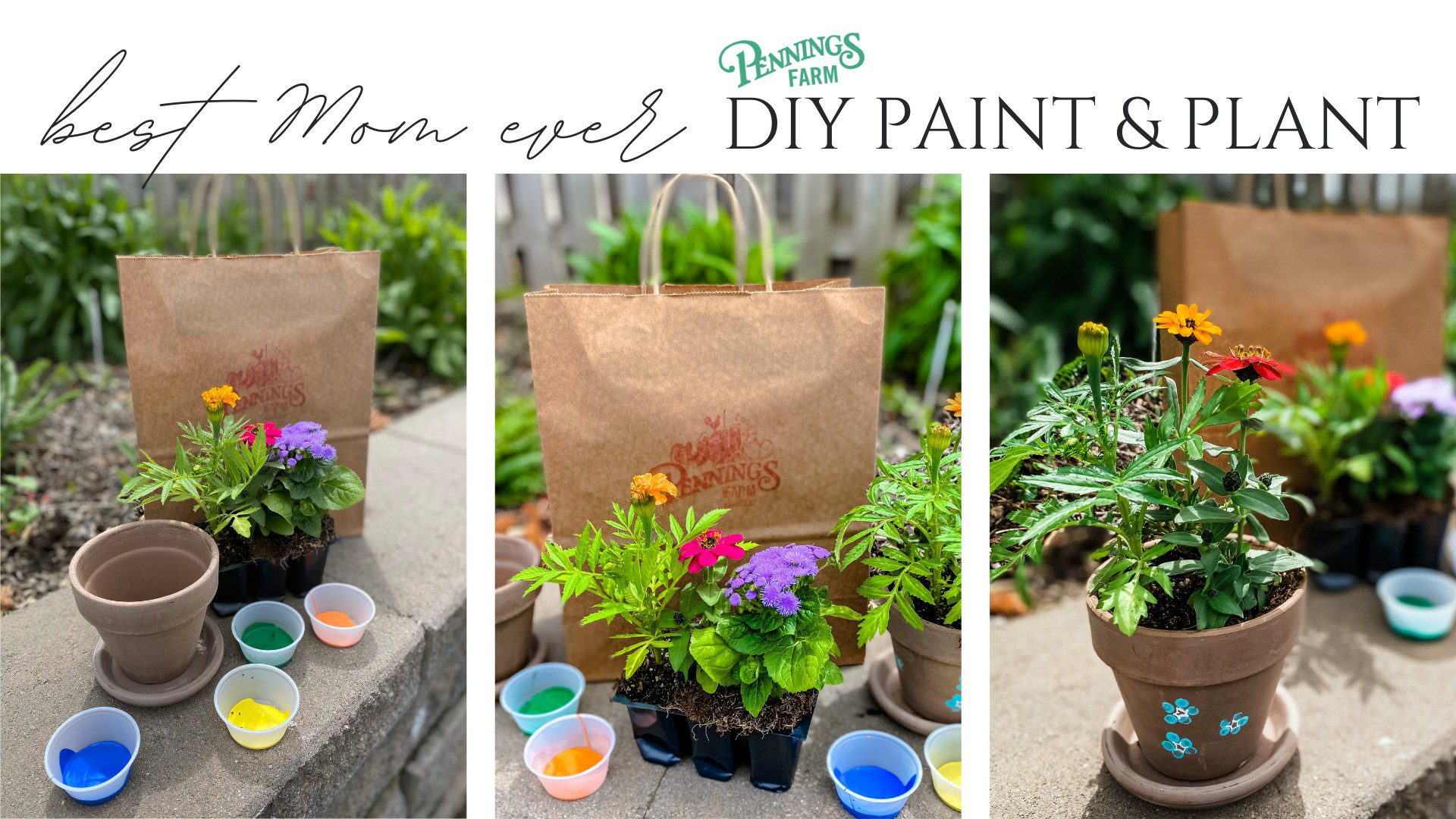 Paint and Plant for Mother's Day @ Pennings Farm and Orchard